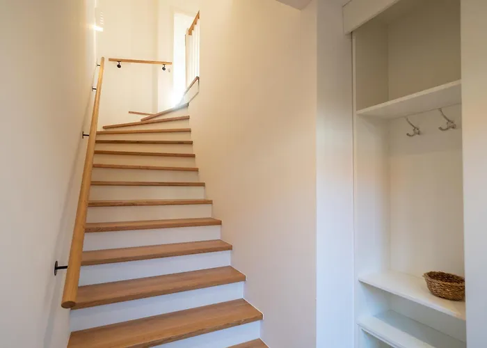 Junonia Шпикерог