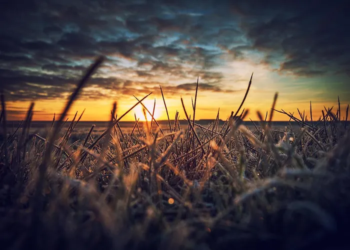 Junonia Апартаменты