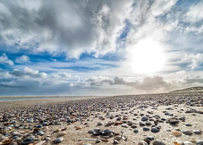 Junonia * Шпикерог